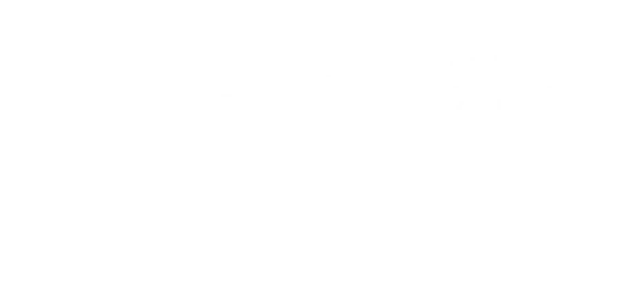 Imersão em ecossistemas, transformação, varejo e cross border.